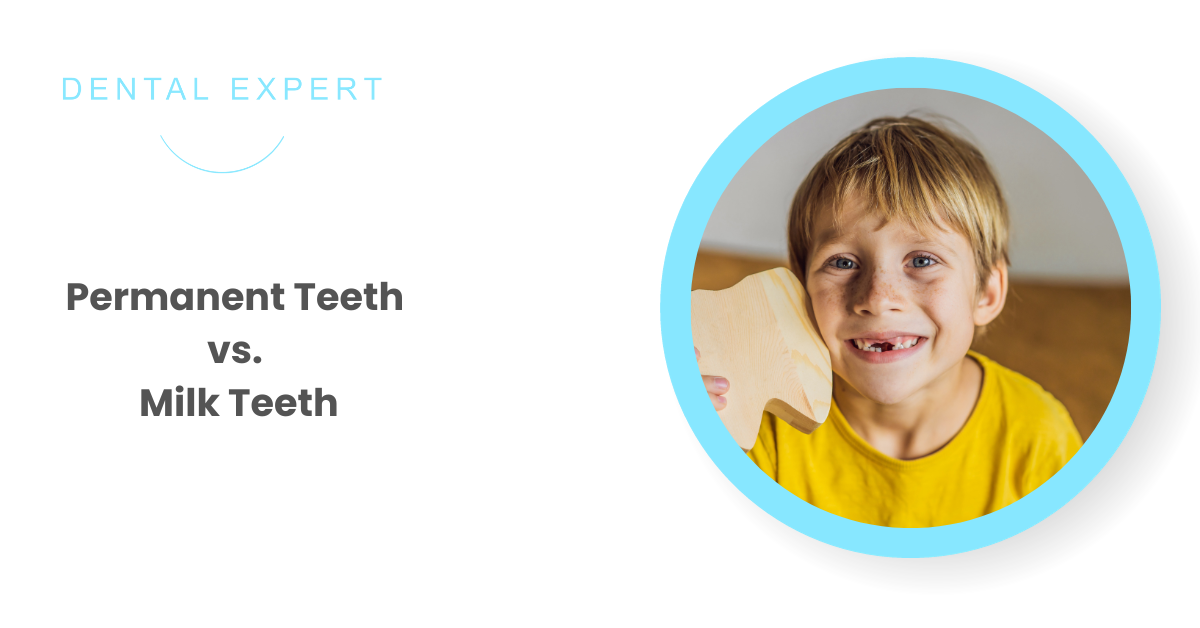 Permanent Teeth vs. Milk Teeth: The Essential Guide